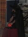 IMG_0190